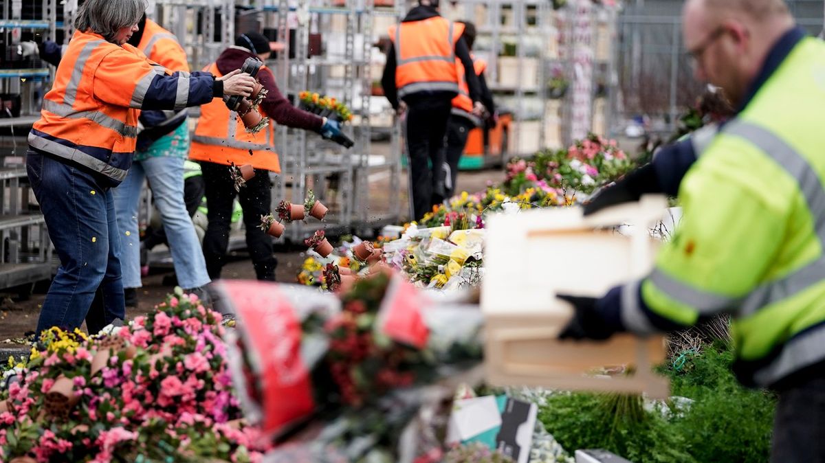 Holandský květinový průmysl hnije. Kupujte kytky, ne toaletní papír, radí